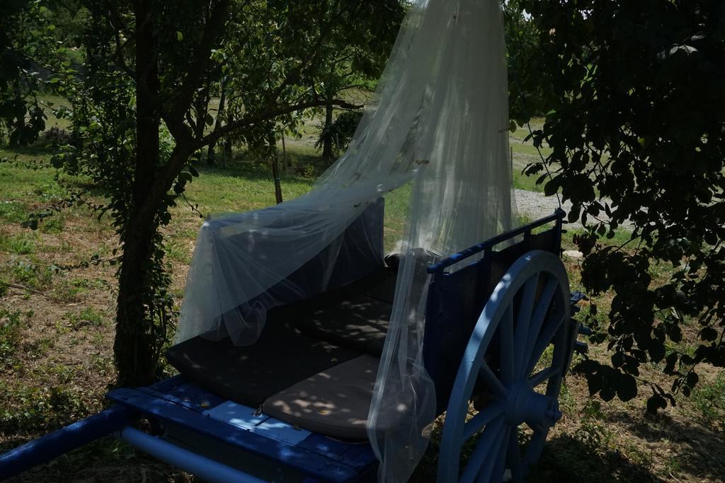 La Casa Blu Villa Calliano  Eksteriør billede